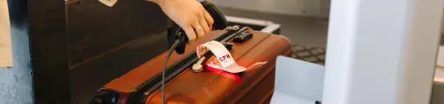 Luggage