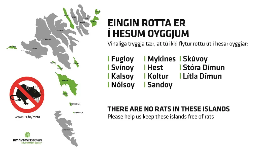 Information about rats